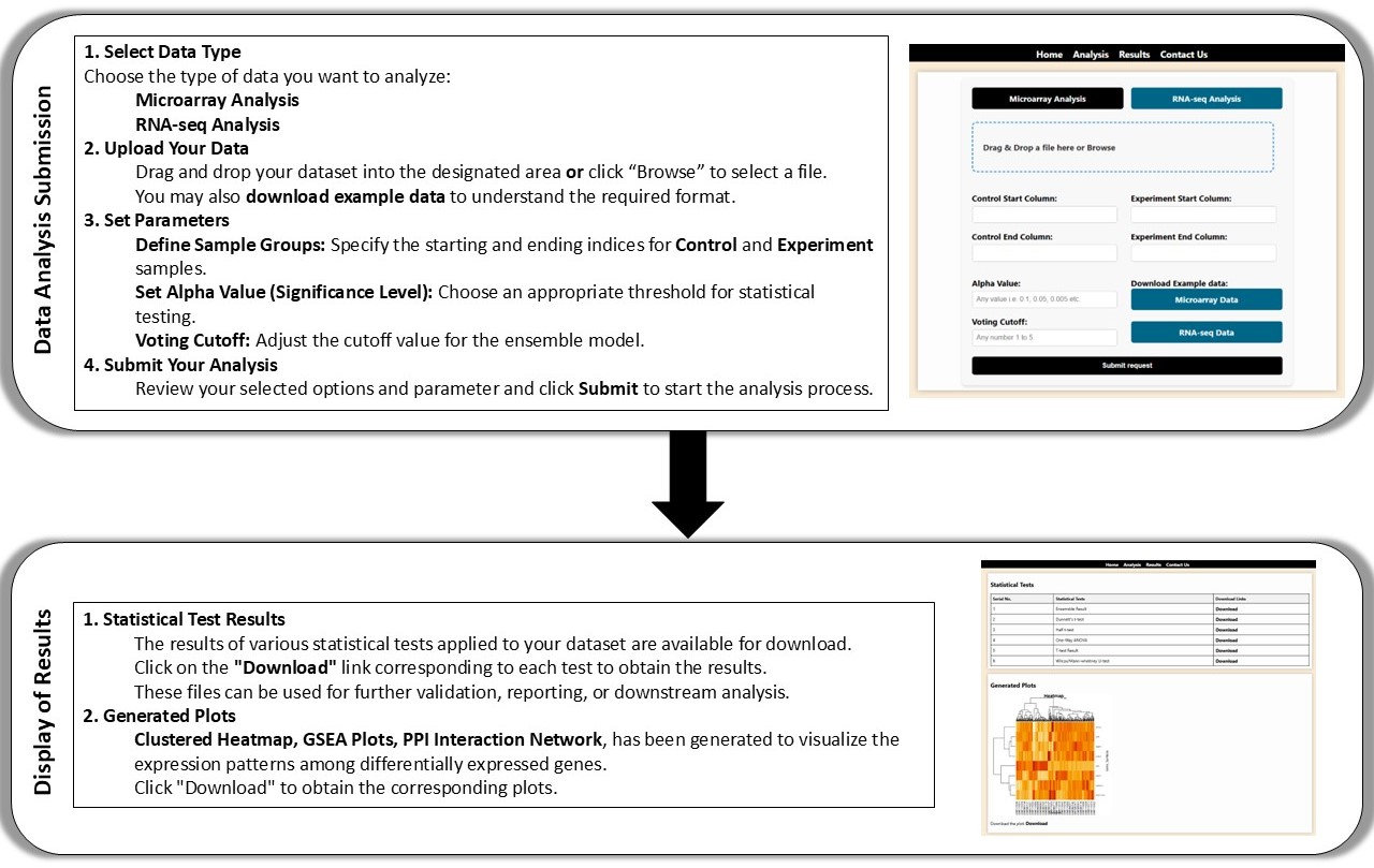 User Guide for DGEAR Web-tool